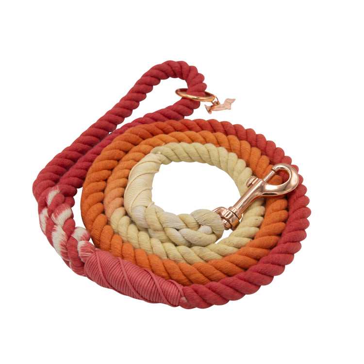 Dog Rope Leashes