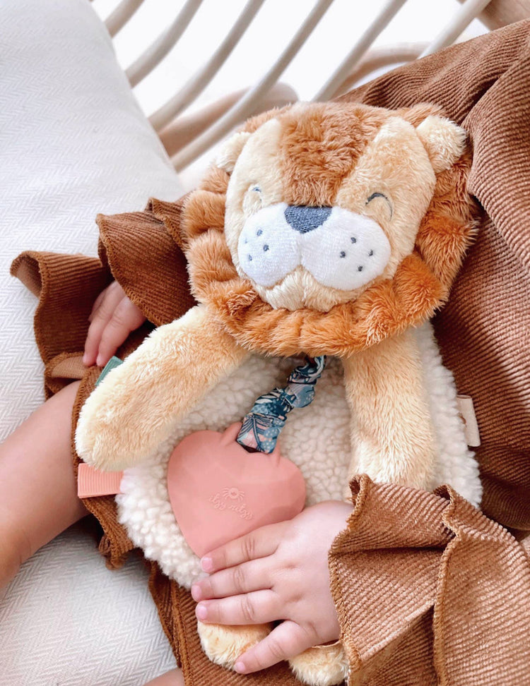 Itzy Lovey™ Plush with Silicone Teether Toys