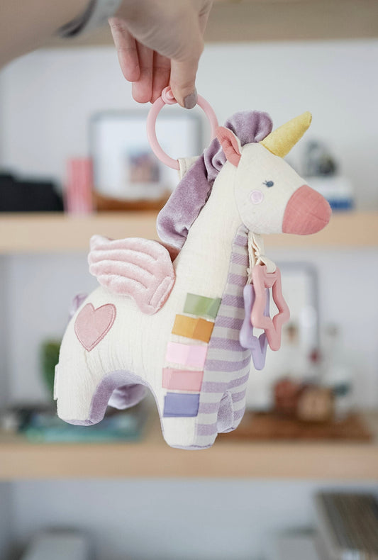 Pegasus Activity Plush with Teether