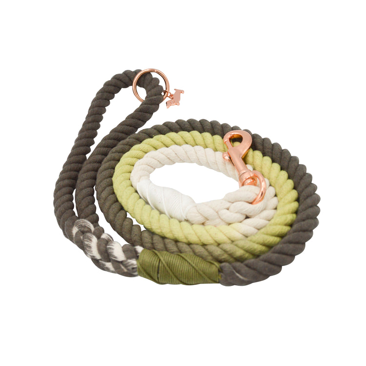 Dog Rope Leashes